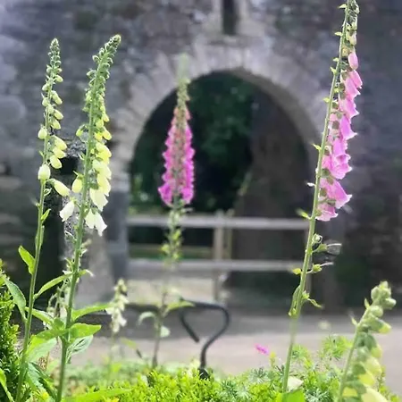Romantic Countryside Retreat At Legan Castle With Hot Tub Lejlighed